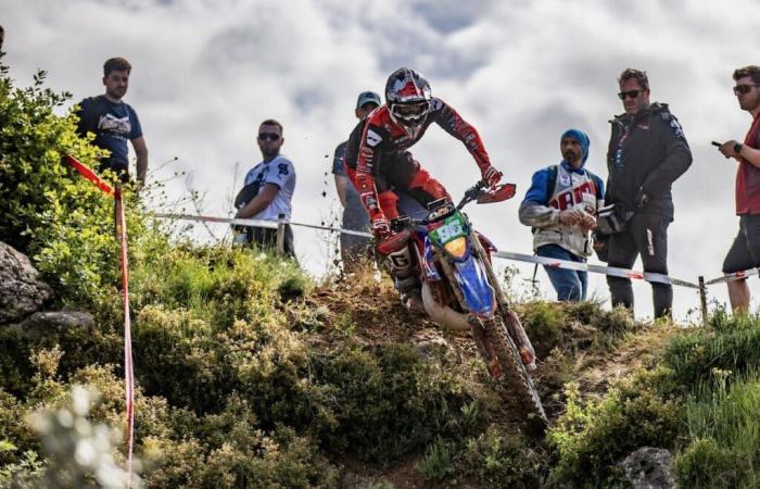 EGP Sunday: Verona wins in chaos, Pichon falls