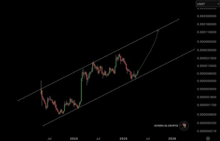 The price of Pepe builds an upward dynamic as the traders monitor the key levels