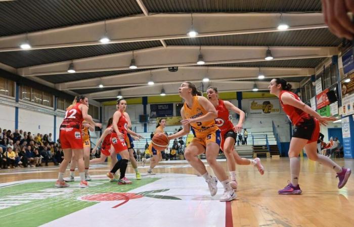 Basketball (National 2). A defeat for the last of the Garonne AB girls season