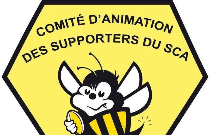 “Against Orleans, we had already won the supporters’ match so I think there will be even more people this Sunday!” – #magsport