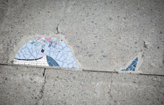 Life, city | The fairy that gives life to the sidewalks