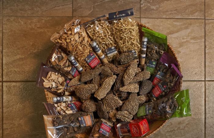 Switzerland: Chinese morel has invaded the market for 5 years