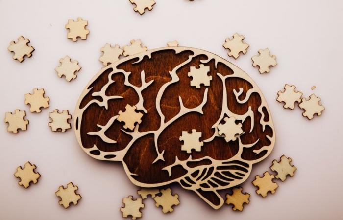 Regimes rich in fat and sugar are linked to poor memory in young adults