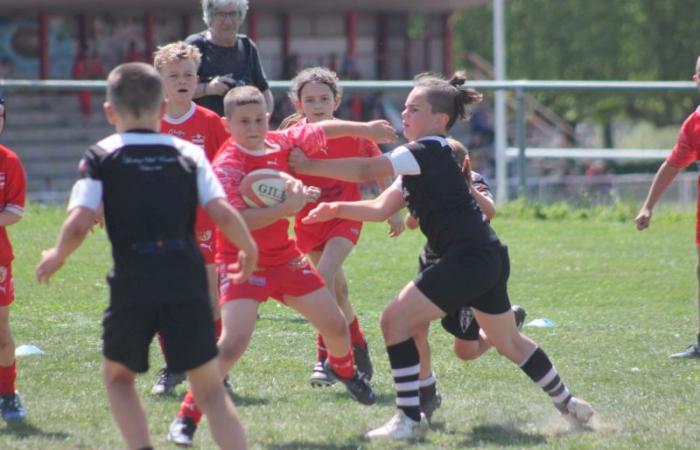 Rugby – Challenge Repiquet: U8, U10 and U12, RC Montceau Grande winner