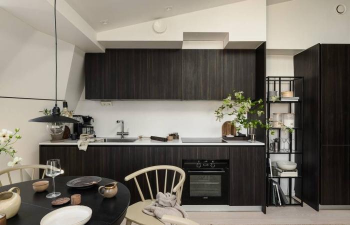A natural and attic apartment of 34m2 with cocoon decoration