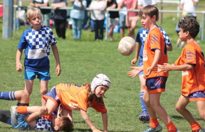 Rugby – Challenge Repiquet: U8, U10 and U12, RC Montceau Grande winner