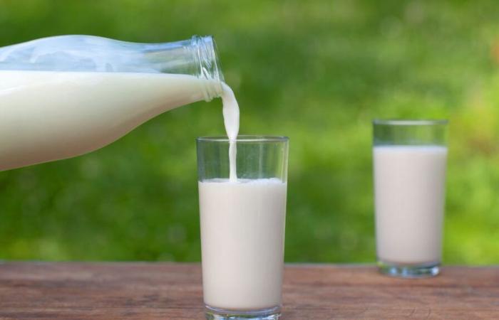 Dairy products really “our friends for life”?