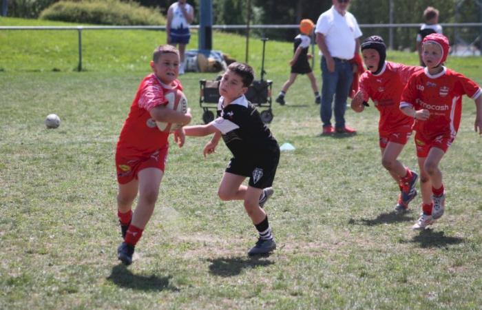 Rugby – Challenge Repiquet: U8, U10 and U12, RC Montceau Grande winner