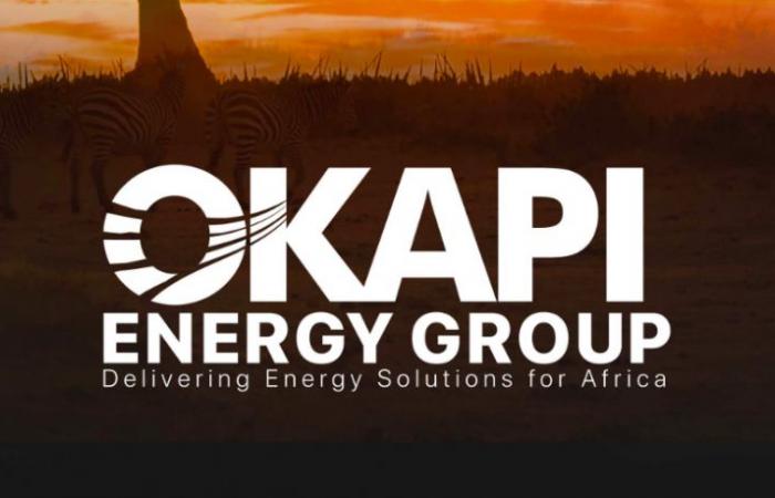 Okapi Oil Group Dement any link with a Senegalaise affair