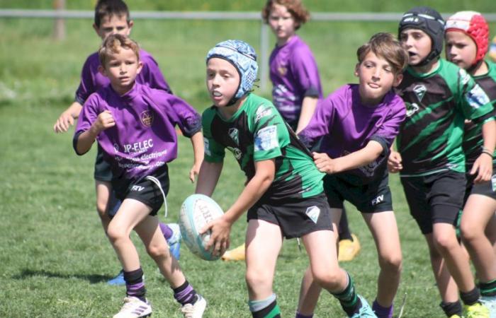 Rugby – Challenge Repiquet: U8, U10 and U12, RC Montceau Grande winner