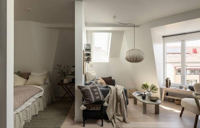 A natural and attic apartment of 34m2 with cocoon decoration