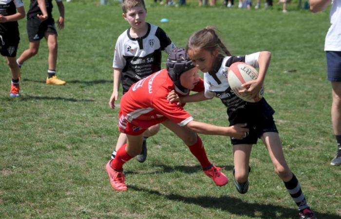 Rugby – Challenge Repiquet: U8, U10 and U12, RC Montceau Grande winner