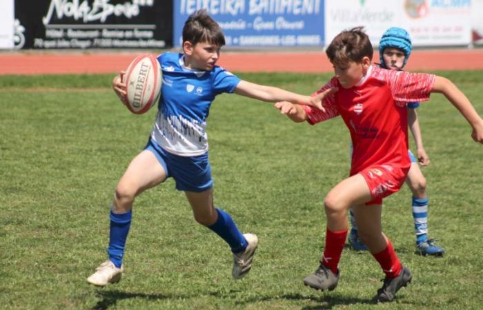 Rugby – Challenge Repiquet: U8, U10 and U12, RC Montceau Grande winner
