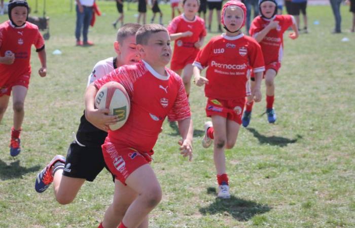 Rugby – Challenge Repiquet: U8, U10 and U12, RC Montceau Grande winner
