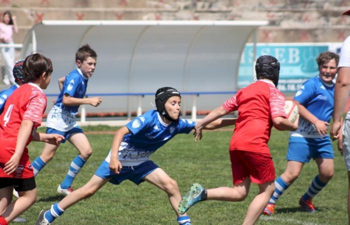 Rugby – Challenge Repiquet: U8, U10 and U12, RC Montceau Grande winner