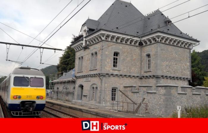 A 16 -year -old adolescent loses his life after being struck by a train near Trooz station