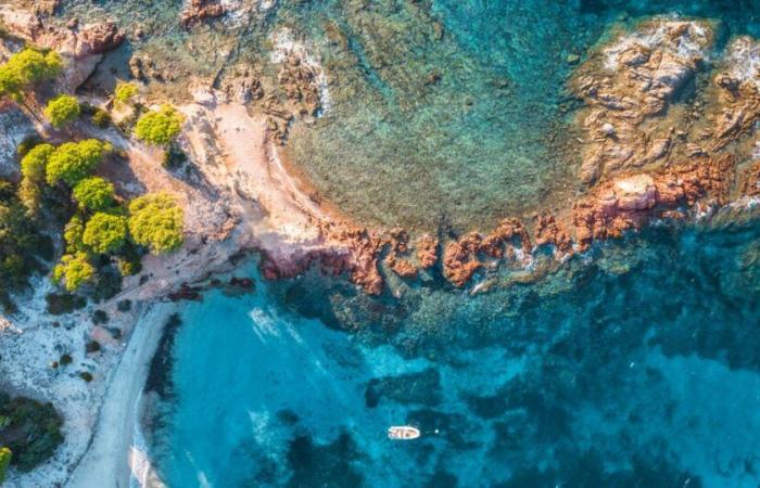 Too expensive, negative feeling … Will Corsica become fashionable this summer?