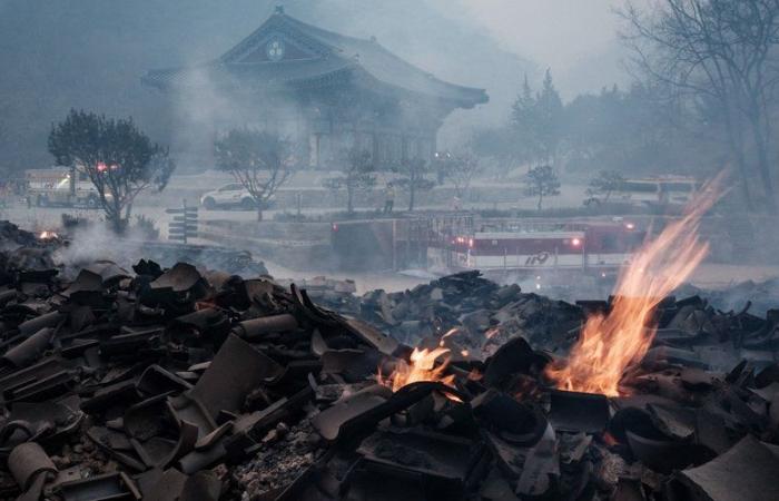 South Korea: the weather conditions of the fires made twice as likely by warming