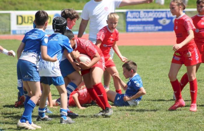 Rugby – Challenge Repiquet: U8, U10 and U12, RC Montceau Grande winner