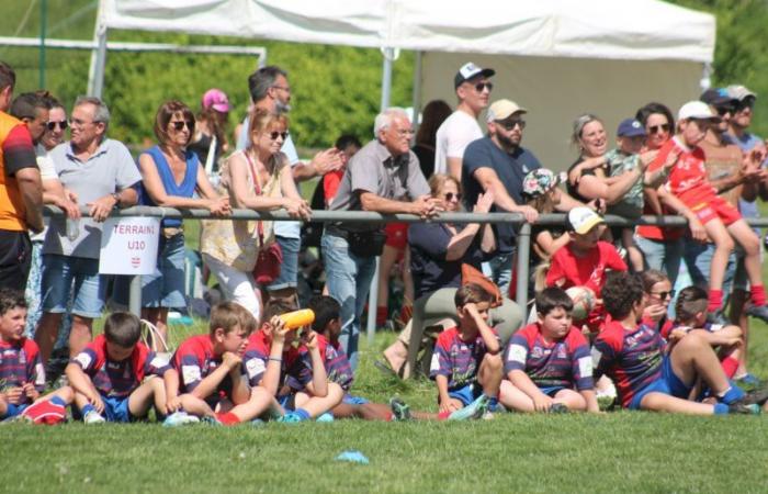 Rugby – Challenge Repiquet: U8, U10 and U12, RC Montceau Grande winner