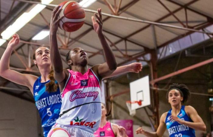 Live basketball-Women’s League (return semi-final). Live: Charnay remains in the break in Basket Landes