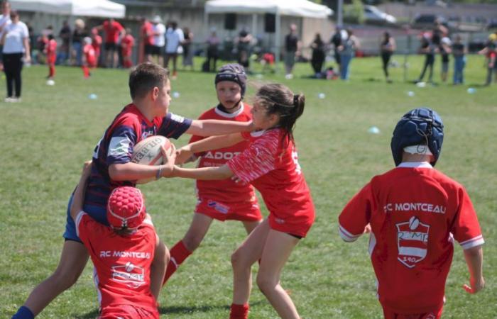 Rugby – Challenge Repiquet: U8, U10 and U12, RC Montceau Grande winner