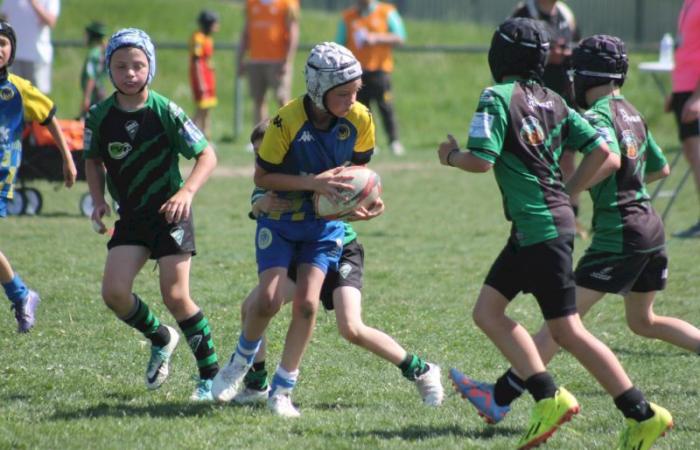 Rugby – Challenge Repiquet: U8, U10 and U12, RC Montceau Grande winner