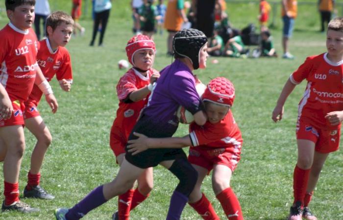 Rugby – Challenge Repiquet: U8, U10 and U12, RC Montceau Grande winner
