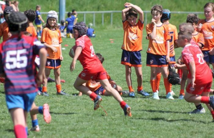Rugby – Challenge Repiquet: U8, U10 and U12, RC Montceau Grande winner