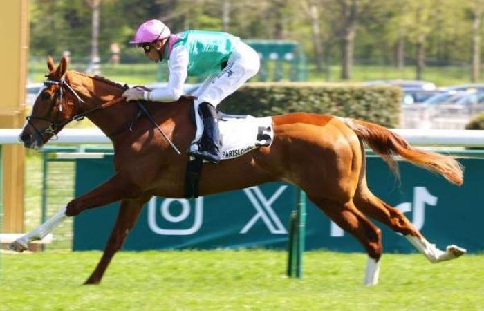 Free prognosis for the Seine price