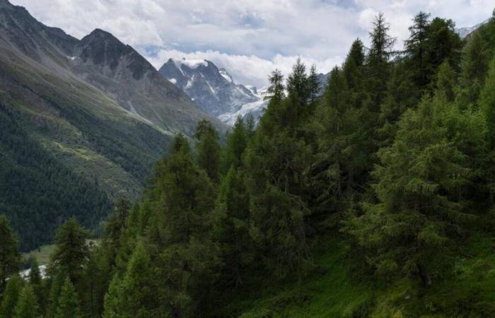 A 3.1 magnitude earthquake was felt in Valais