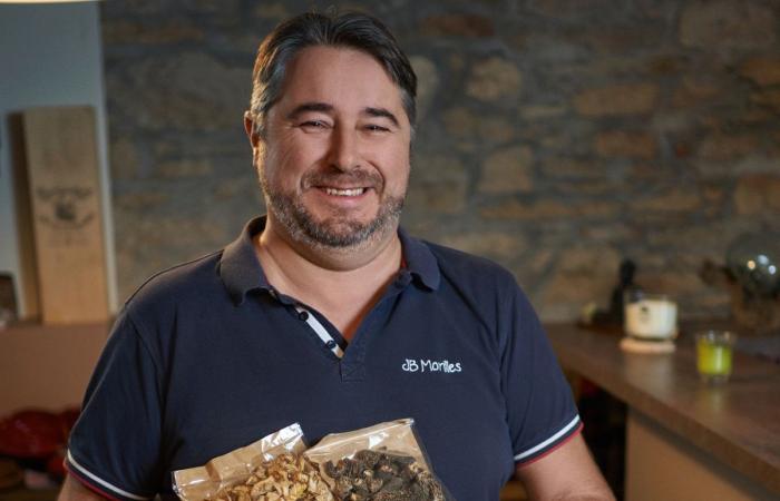 Switzerland: Chinese morel has invaded the market for 5 years