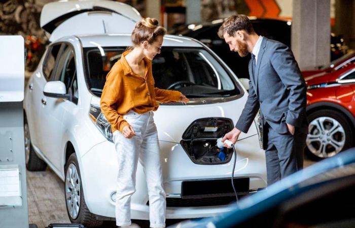 Used electric cars: a difficult market in Luxembourg