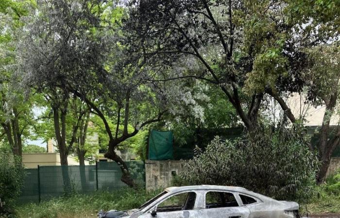 A car destroyed by a night fire of suspicious origin at Mas Drevon