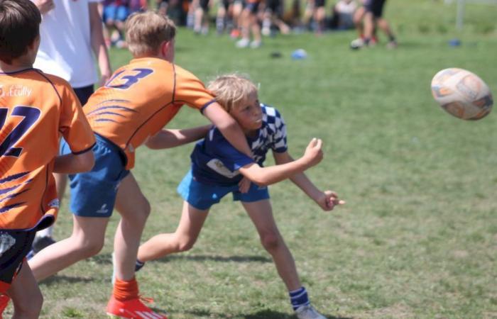 Rugby – Challenge Repiquet: U8, U10 and U12, RC Montceau Grande winner