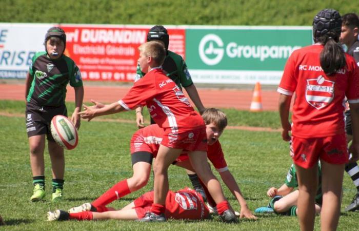 Rugby – Challenge Repiquet: U8, U10 and U12, RC Montceau Grande winner