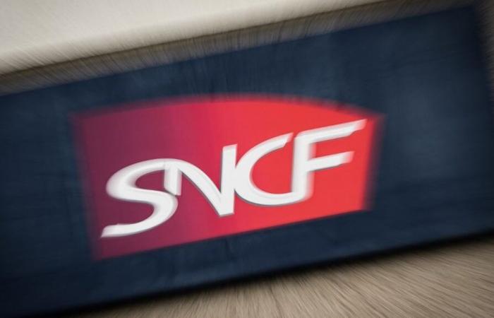 “It is a strike that is intended to be unpopular,” regrets the president of the European passenger federation
