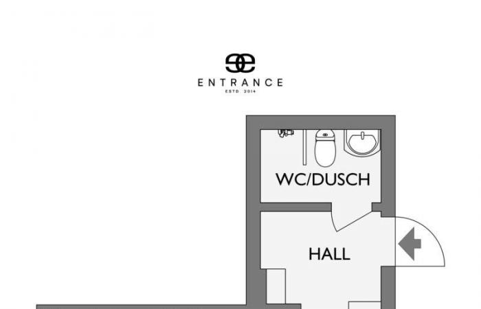 A natural and attic apartment of 34m2 with cocoon decoration