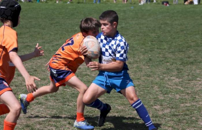 Rugby – Challenge Repiquet: U8, U10 and U12, RC Montceau Grande winner