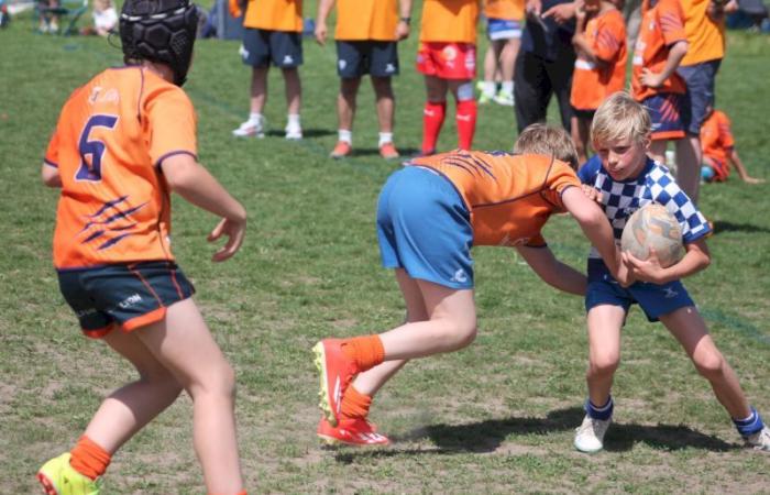 Rugby – Challenge Repiquet: U8, U10 and U12, RC Montceau Grande winner