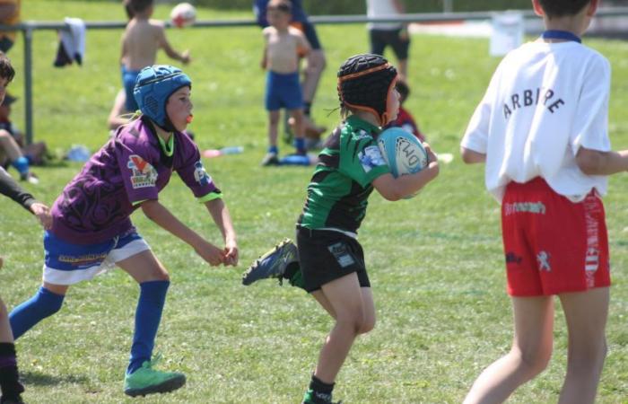Rugby – Challenge Repiquet: U8, U10 and U12, RC Montceau Grande winner