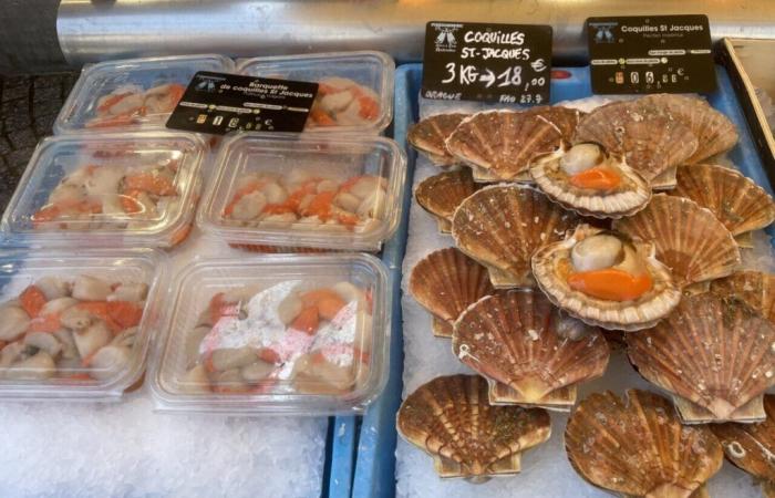 The prices are at the lowest, it’s time to enjoy the scallop