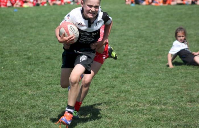 Rugby – Challenge Repiquet: U8, U10 and U12, RC Montceau Grande winner