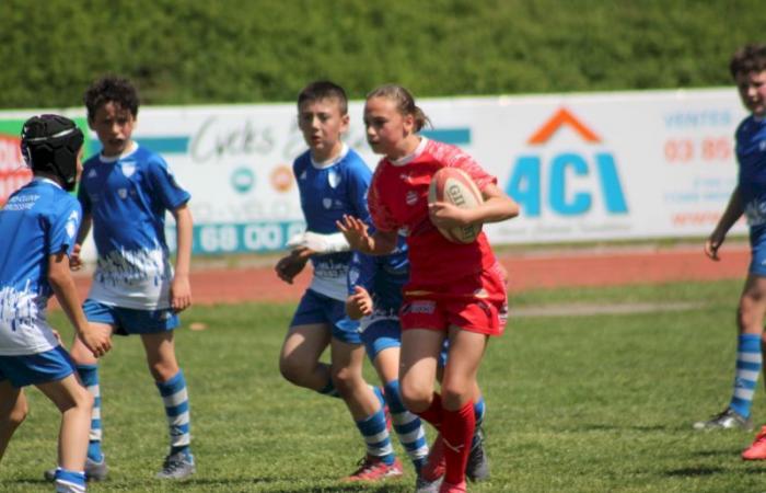 Rugby – Challenge Repiquet: U8, U10 and U12, RC Montceau Grande winner