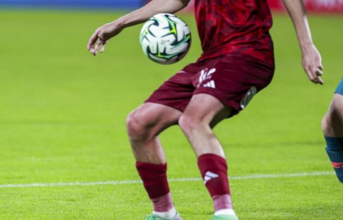 Soccer . Still no Var in Ligue 2 next season