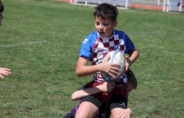 Rugby – Challenge Repiquet: U8, U10 and U12, RC Montceau Grande winner