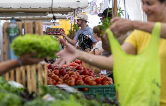 In Geneva, a food fund and united will soon see the day