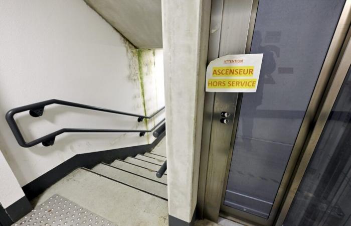 In working -class districts, the endless “ordeal” of the elevator breakdowns