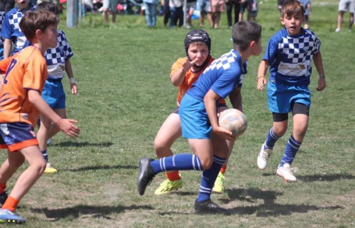 Rugby – Challenge Repiquet: U8, U10 and U12, RC Montceau Grande winner