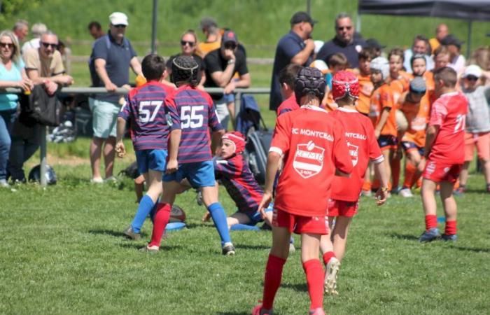 Rugby – Challenge Repiquet: U8, U10 and U12, RC Montceau Grande winner